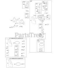 Briggs & Stratton 197707-0120-E1 - Briggs & Stratton Vertical Engine Carburetor, Gaskets