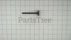 Toro 120-7413 Intake Valve - image 2