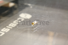 Echo P004002010 Throttle Valve