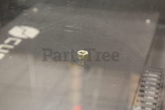 Briggs & Stratton 22259GS Nut - image 2