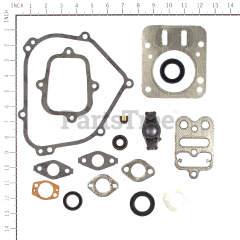 Snapper 698216 Gasket Set-Engine - image 3