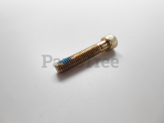 Snapper 1960508SM Hex Capscrew, Skt Hd - image 1