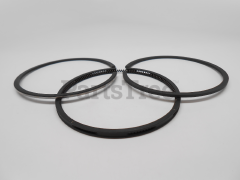 Simplicity 497522 Use 495854: Ring  Piston Kit - image 2