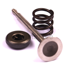 Simplicity 260860 Use 494191: Valve  Exhaust - image 1
