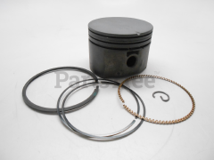 Simplicity 795133 Use 795689: Piston Assembly-020 - image 1
