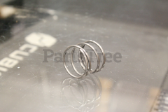 Echo 99909-15520 Spring - image 3