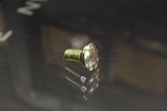 Toro 3233-9 Carriage Screw