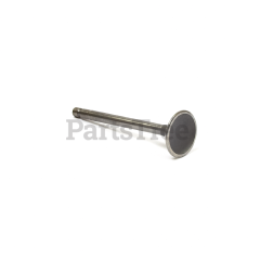 Snapper 557017 Valve-Intake - image 1