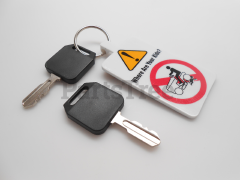 RedMax 532411933 Ignition Key With Keychain, Set Of 2 - image 2