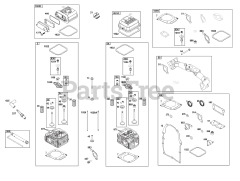 Briggs & Stratton 386447-0472-B5 - Briggs & Stratton Horizontal Engine Cylinder Head Group