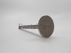 Briggs & Stratton 261055 Intake Valve - image 1