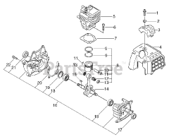 Echo SRM-270 - Echo String Trimmer (SN: 36001001 - 36999999)