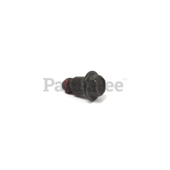 Briggs & Stratton 699201 Screw - image 2