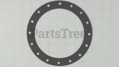 Briggs & Stratton 841823 Air Cleaner Gasket