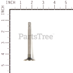 Simplicity 555551 Valve-Intake - image 3