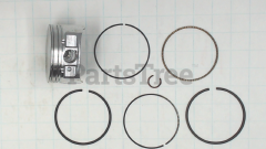 Snapper 697679 Use 792023: Piston Assy-Std - image 1
