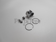 Echo P021036090 Asy., Piston
