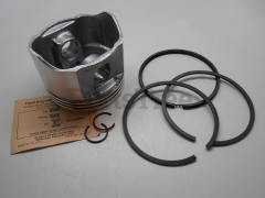 Simplicity 499293 Use 499292: Piston/Ring Kit - image 1