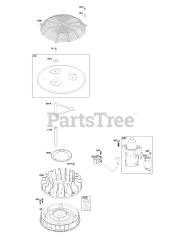 Briggs & Stratton 61E877-0112-J1 - Briggs & Stratton Vertical Engine Flywheel, Ignition, and Starter Group