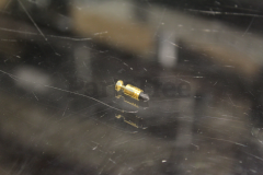 Echo 20011-81550 Overflow Valve - image 1
