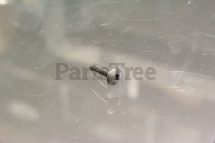 Homelite 660630002 Screw (St-155)