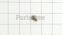 MTD 910-3007 Self-Tapping Screw - image 1