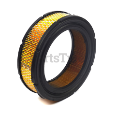 Briggs & Stratton 841856 Air Filter Cartridge - image 1