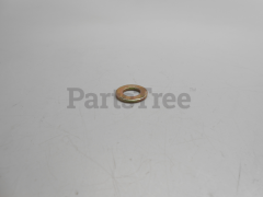 Echo 01611-08160 Washer - image 1