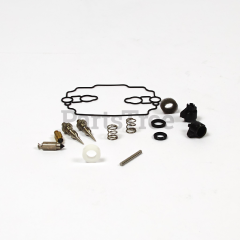 Snapper 808185 Use 842873: Carburetor Kit - image 2