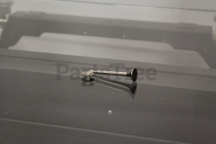Tecumseh 36471 Exhaust Valve, Std - image 3