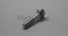 RedMax 581855201 Screw Assembly - image 5