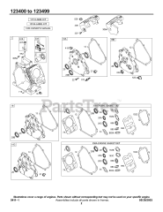 Briggs & Stratton 123437-0170-E1 - Briggs & Stratton Horizontal Engine Crankcase Cover/Sumps, Cylinder Group, Kits/Gasket-Engine