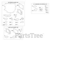 Briggs & Stratton 405577-0123-E1 - Briggs & Stratton Vertical Engine Engine/Valve Gasket Set, Carburetor Overhaul Kit