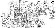 Honda BF250 A XXCA (BBJJ) - Honda Marine Engine, Made in Japan (SN: BBJJ-8000001 - BBJJ-9999999) CYLINDER BLOCK