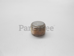 Tecumseh 28483 Pipe Plug - image 1