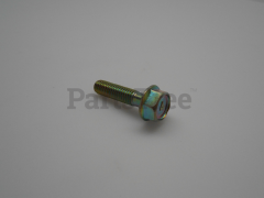 Briggs & Stratton 710160 Screw