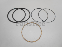 Briggs & Stratton 791324 Ring Set, 020
