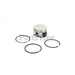 Simplicity 557123 Piston Assembly-020 - image 1