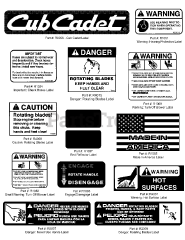 Cub Cadet 59A30044 (59A30044150) - Cub Cadet Power Assist Triple Bagger att Decals