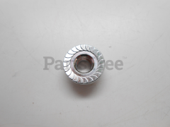 Briggs & Stratton 710059 Nut - image 3