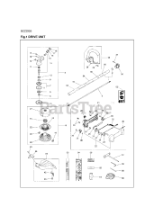 RedMax BCZ 250 S (967668801) - RedMax Brushcutter (2017-06)