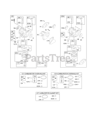 Briggs & Stratton 135432-0022-01 - Briggs & Stratton Horizontal Engine