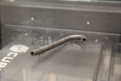 Briggs & Stratton 844556 Fuel Line