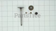 Simplicity 697464 Intake Valve - image 1