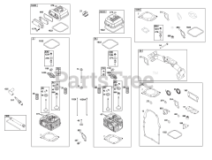 Briggs & Stratton 386447-0464-B5 - Briggs & Stratton Horizontal Engine Cylinder Head Group