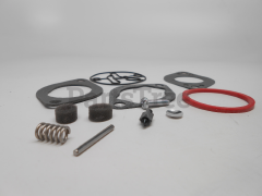 Murray 696147 Carburetor Overhaul Kit - image 2