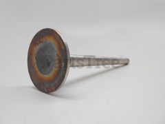 Simplicity 261185 Use 691796: Valve-Exhaust - image 2