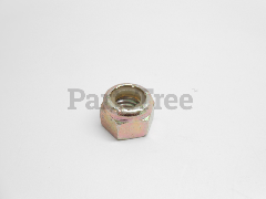 Echo 14071038 Nut, 5/16 - 18 - image 1