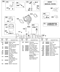 Briggs & Stratton 433447-0116-E2 - Briggs & Stratton Horizontal Engine Carburetor, AISAN Manual Choke