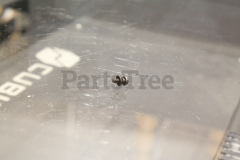 Echo V252000120 Screw - image 1